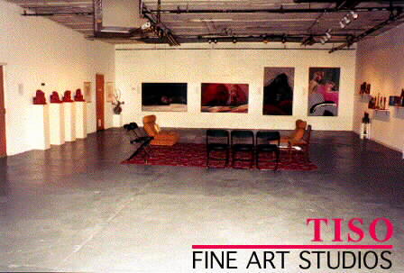 Picture of Tiso Fine Art Studios