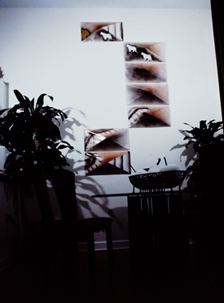 Ceramic Wall Painting